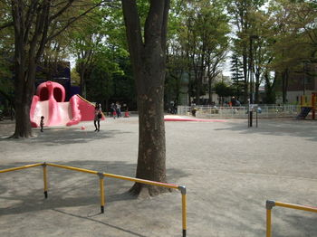 公園1.JPG